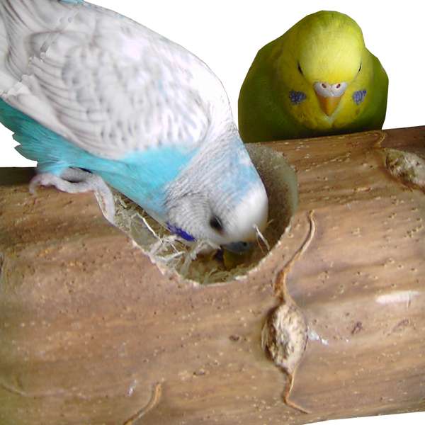 SPIELNEST KOZY KEET