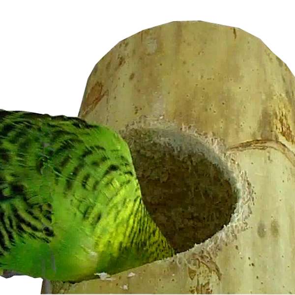 SPIELNEST KOZY KEET