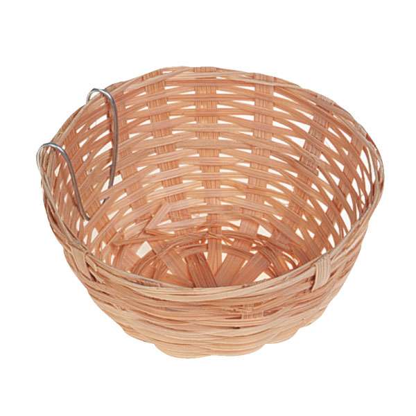 KARLIE BRUTNEST AUS WEIDE