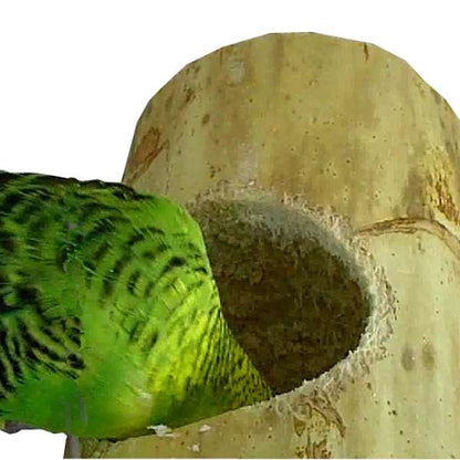 SPIELNEST KOZY KEET